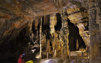 Strokovna ekskurzija v Križno jamo