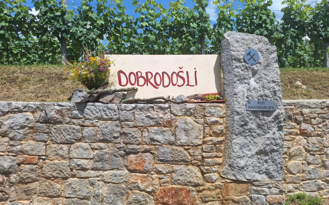 Predavanje “Kraški sprehod z geologoma in skrivnosti kamnite pokrajine”